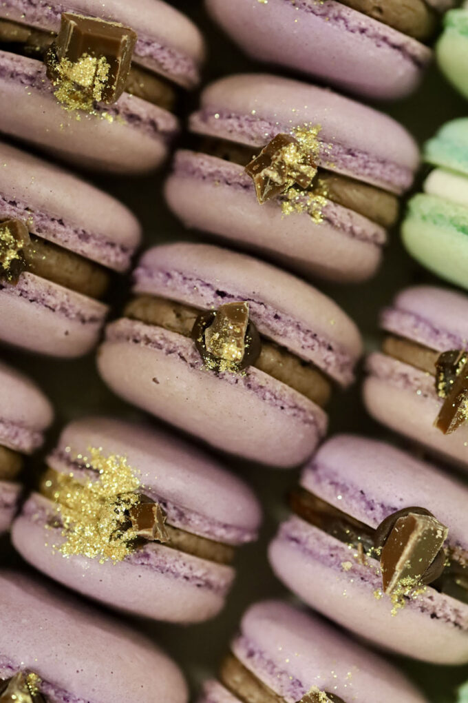 Macarons - Purple