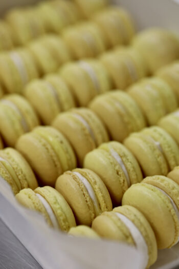 Macarons - Yellow