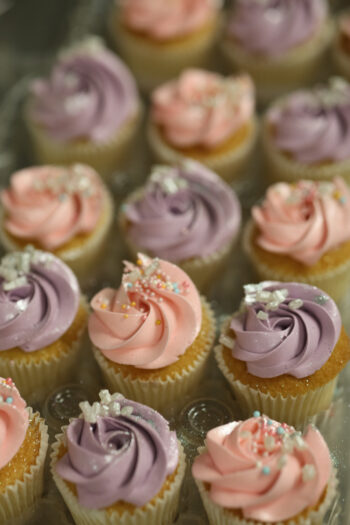 Mini Cupcakes1