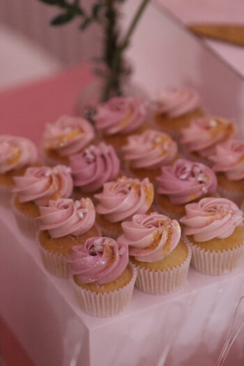 Mini Cupcakes6